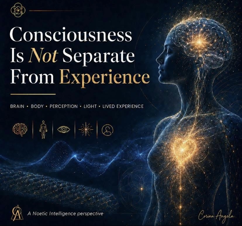 Consciousness is not separate from experience